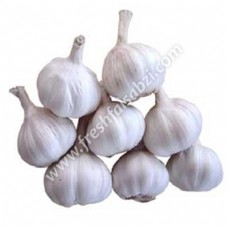 Garlic Indian - Lahshun